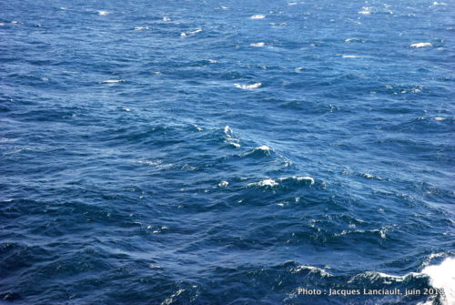 Koninsgdam, Holland America, mer du Nord