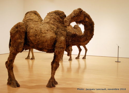 Chameau, Musée des beaux-arts du Canada, Ottawa, Ontario