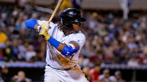 Vladimir Guerrero jr