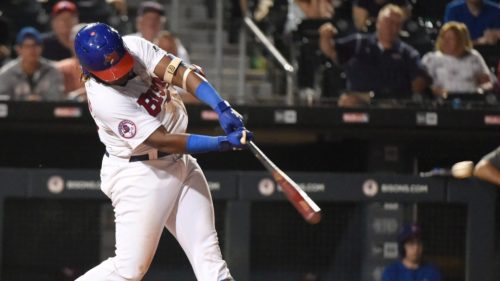 Vladimir Guerrero jr