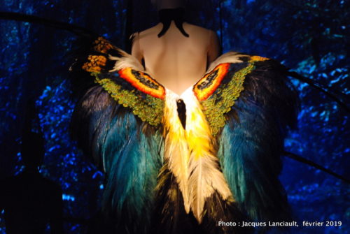 Thierry Mugler - Couturissime, MBAM, 2019