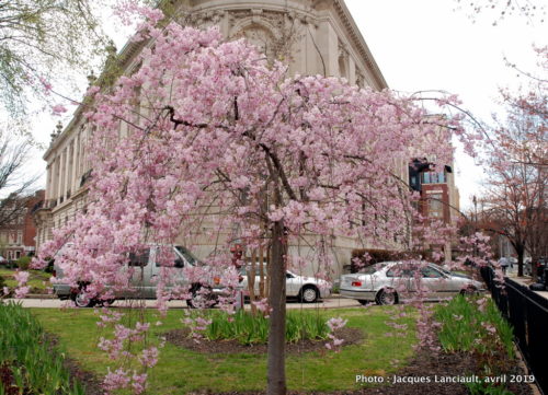 Washington D.C., États-Unis