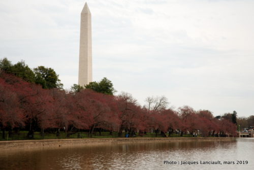 Washington D.C., États-Unis