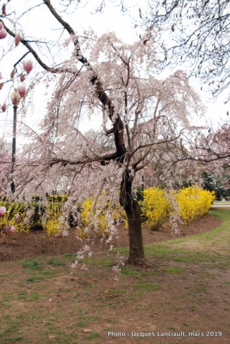 Washington D.C., États-Unis