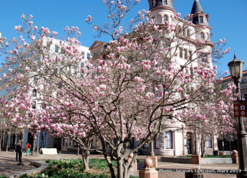 Washington D.C., États-Unis