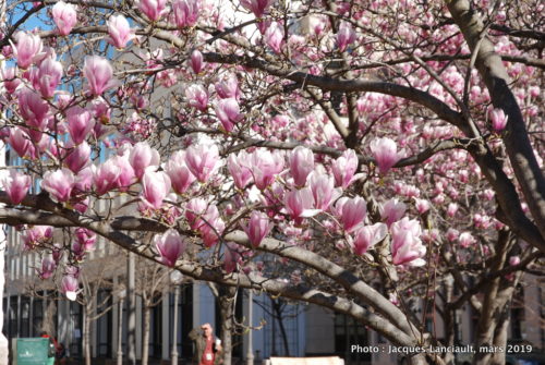Washington D.C., États-Unis