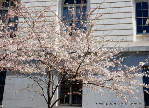 Washington D.C., États-Unis