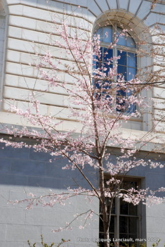 Washington D.C., États-Unis