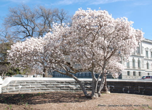 Washington D.C., États-Unis