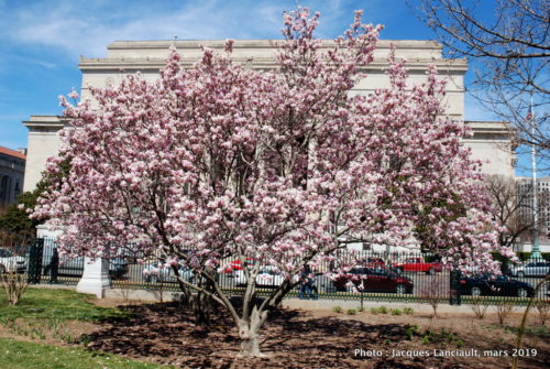 Washington D.C., États-Unis
