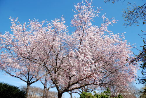 Washington D.C., États-Unis