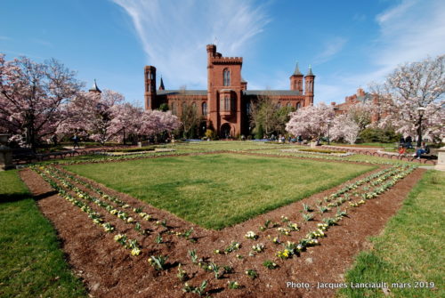 Washington D.C., États-Unis