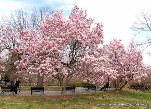 Washington D.C., États-Unis