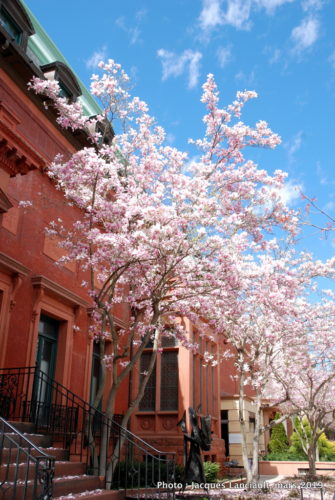 Washington D.C., États-Unis