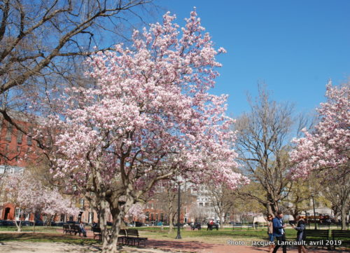 Washington D.C., États-Unis