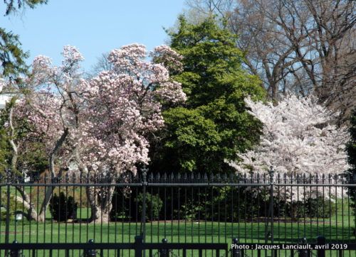 Washington D.C., États-Unis