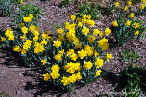 Washington D.C., États-Unis