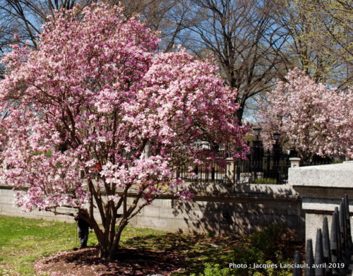 Washington D.C., États-Unis