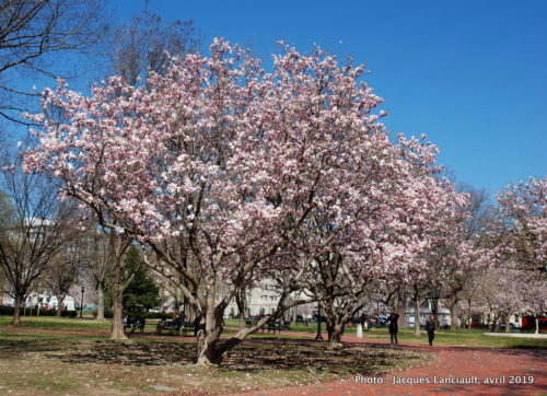 Washington D.C., États-Unis