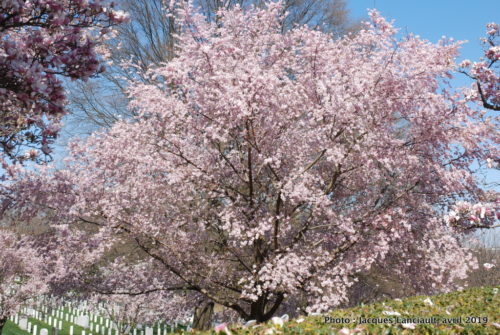Washington D.C., États-Unis