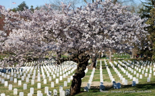 Washington D.C., États-Unis