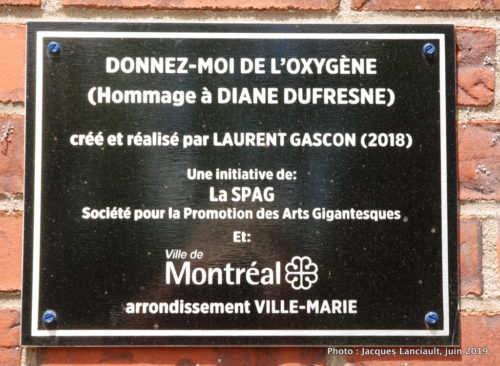 Diane Duresne, par Laurent Gascon, Montréal, Québec