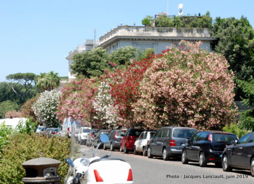 Parc de la Villa Borghese, Rome, Italie