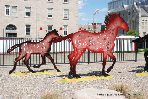 Chevaux au galop, Joe Fafard, Musée des beaux-arts du Canada, Ottawa, Ontario