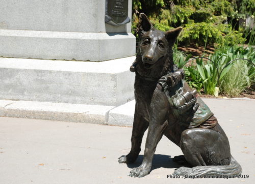 Monument aux animaux de la guerre