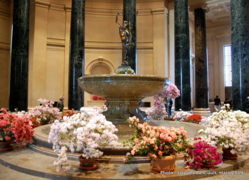 The National Gallery of Art, Washington D.C., États-Unis
