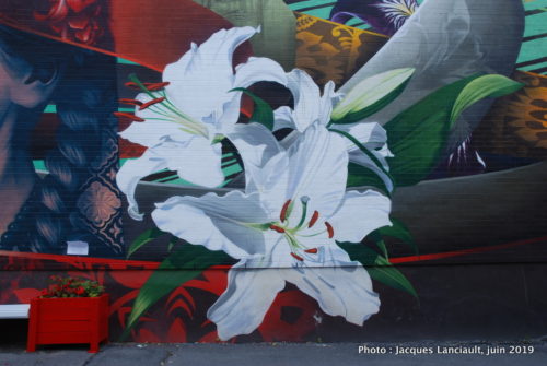 Lilia, Fluke, Montréal, Québec