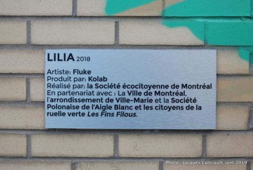 Lilia, Fluke, Montréal, Québec