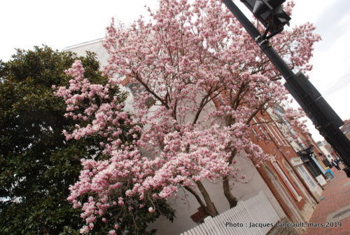 Quartier Georgetown, Washington D.C., États-Unis