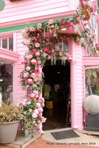 Quartier de Georgetown, Washington D.C., États-Unis