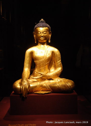 Gallery Sackler et Gallery Freer, Washington D.C., États-Unis
