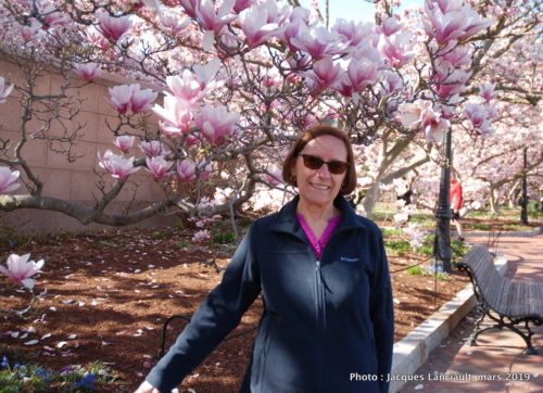 Jardin Enid A. Haupt, Washington, D.C., États-Unis