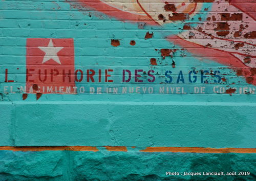 L’euphorie des sages, rue de Bullion, Montréal, Québec
