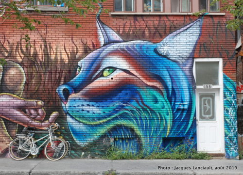 Le bûcheron et le lynx, Clandestinos, Montréal, Québec