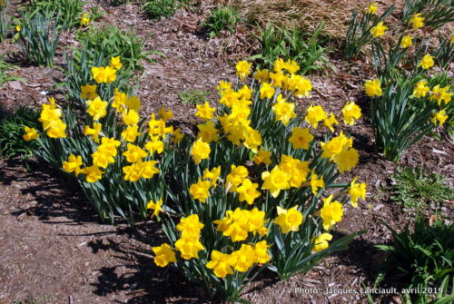 President Park, Washington D.C., États-Unis