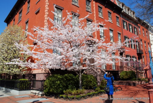Lafayette square, Washington D.C., États-Unis