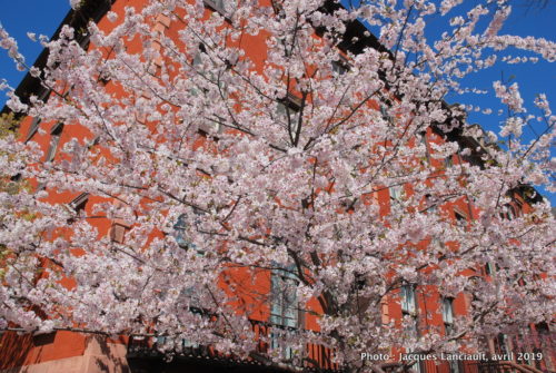 Lafayette square, Washington D.C., États-Unis