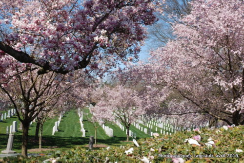 Cimetière national d’Arlington, Arlington, Virginie, États-Unis