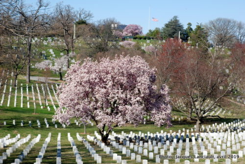 Arlington National Cemetery, Arlington, Virginie, États-Unis
