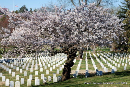 Cimetière national d’Arlington, Arlington, Virginie, États-Unis