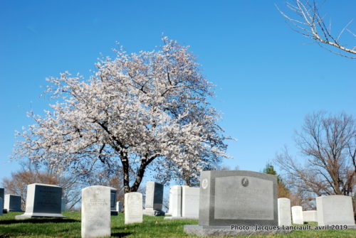 Cimetière national d’Arlington, Arlington, Virginie, États-Unis