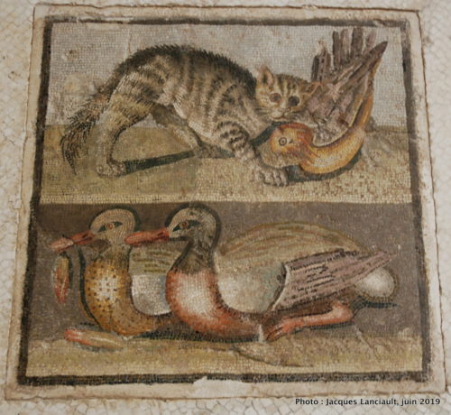 Palazzo Massimo, Musée national romain, Rome Italie