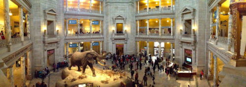 National Museum of Natural History, Washington D.C., États-Unis
