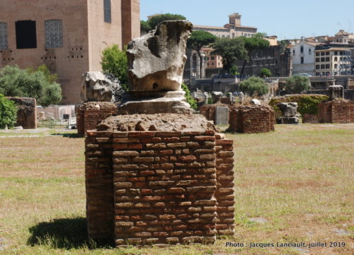 Forum romain, Rome, Italie