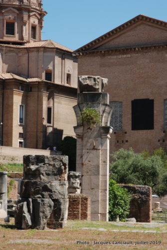 Forum romain, Rome, Italie