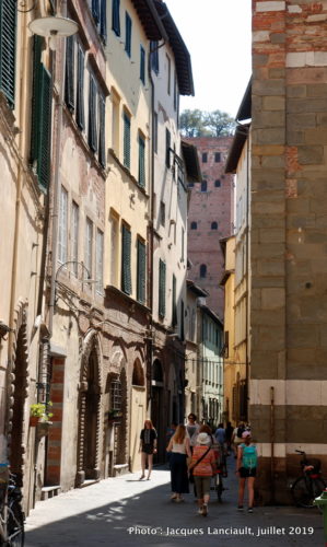 Torre Guinigi, Lucques, Italie